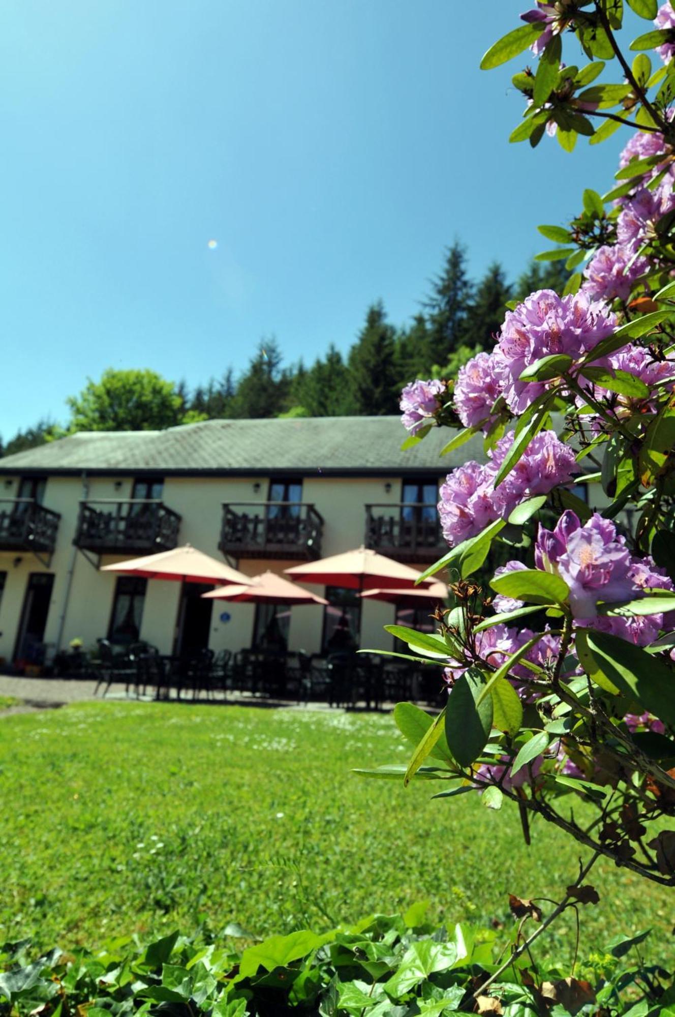 Hotel Gai-Sejour La Roche-en-Ardenne Exterior foto